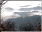 foto Colline Marosticane nella Nebbia